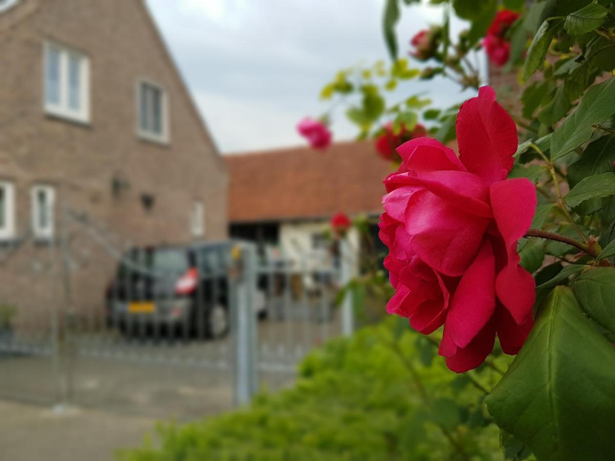 De Boerebeemd Bed & Breakfast Lieshout Exterior photo