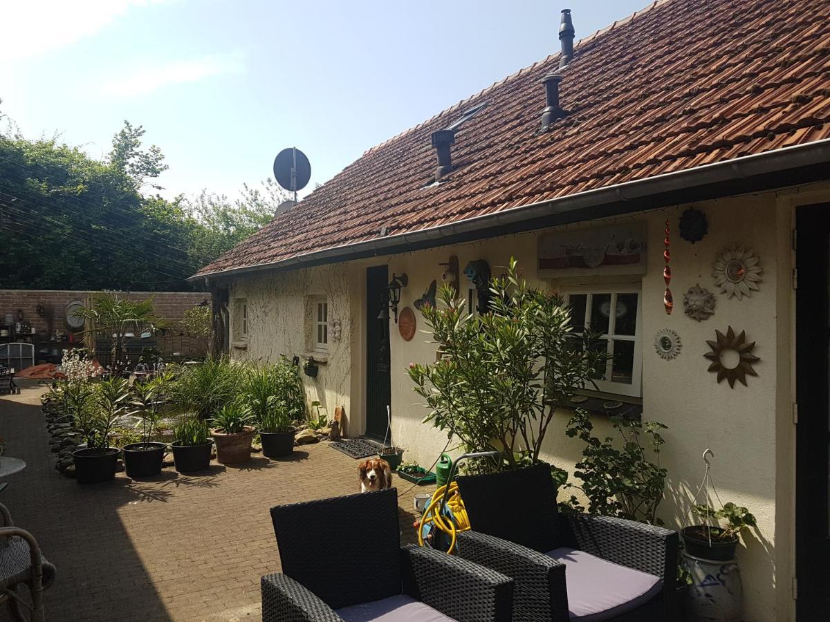 De Boerebeemd Bed & Breakfast Lieshout Exterior photo